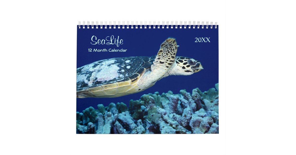 2021 Marine Fish and Sea Life Calendar Zazzle.co.uk