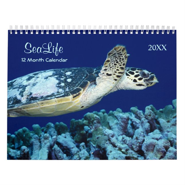 2021 Marine Fish and Sea Life Calendar (Cover)