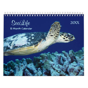 2021 Marine Fish and Sea Life Calendar