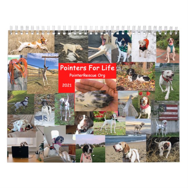 2021 Pointers For Life Calendar from PointerRescue (Cover)