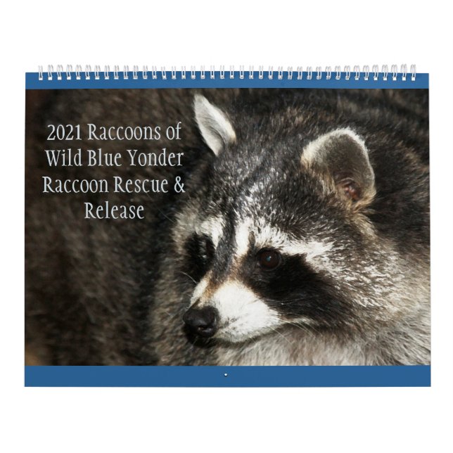 2021 Raccoons of Wild Blue Yonder Calendar (Cover)
