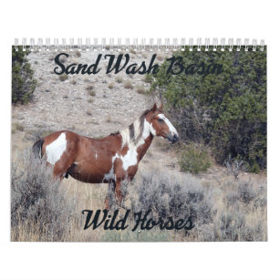 2021 Sand Wash Basin Wild Horse Calendar