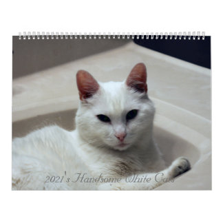 2021's Handsome White Cats Calendar