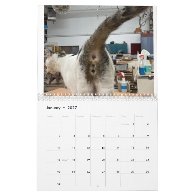 20222 Cat Butt Calendar (Jan 2027)