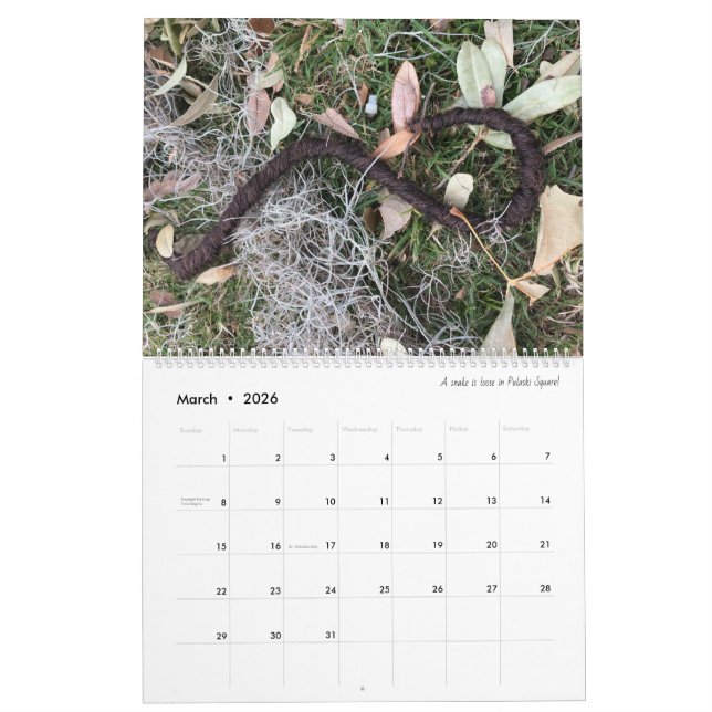 2022 11x14 Savannah Tumbleweaves Calendar (Mar 2026)