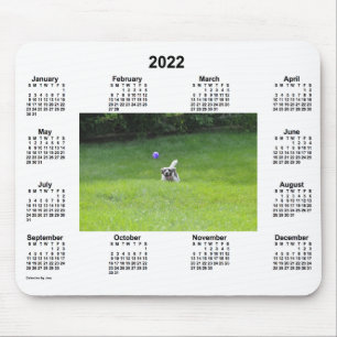 2022 Ball Playing Dog Photo Calendar by Janz Mouse Mat