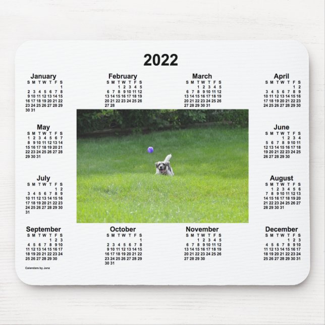 2022 Ball Playing Dog Photo Calendar by Janz Mouse Mat (Front)
