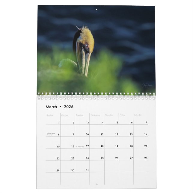 2022 Beautiful Birds Wall Calendar (Mar 2026)