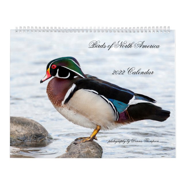 2022 Birds of North America Calendar (Cover)
