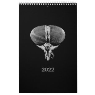 2022 Black and White minimalist Style Insects 2022 Calendar