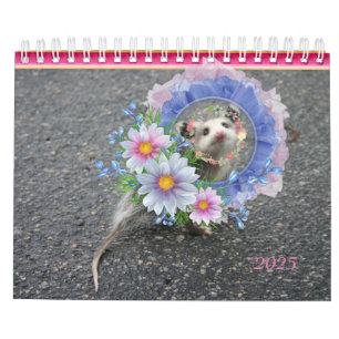 2022 Calendar Colourful Stripes Opossum Floral