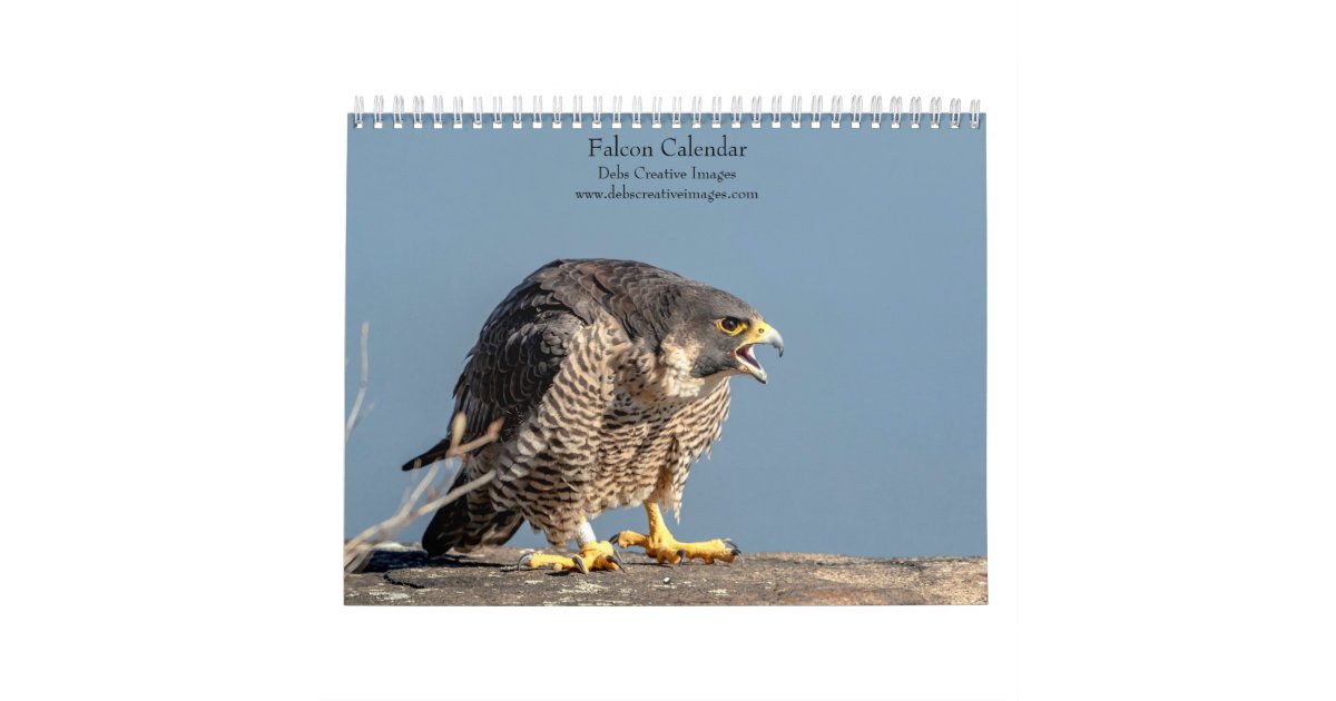 2022 Falcon Calendar | Zazzle.co.uk