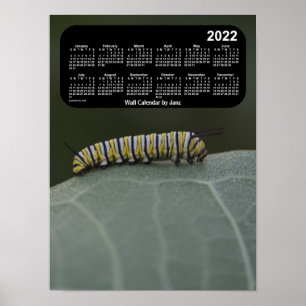 2022 Monarch Caterpillar Calendar by Janz Poster