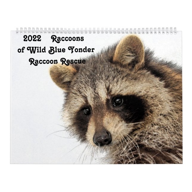 2022 Raccoons of Wild Blue Yonder Racoon Rescue Calendar (Cover)