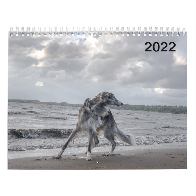 2022 Silken Windhounds (Multiple Dogs & In Action) Calendar (Cover)