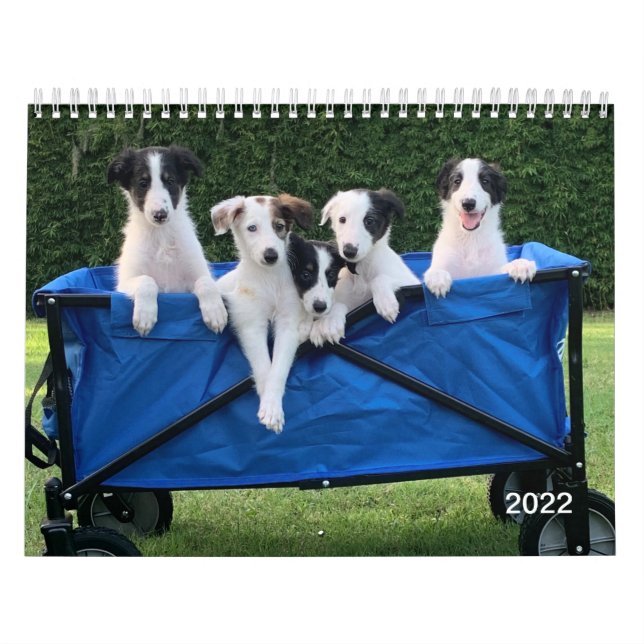 2022 Silken Windhounds (Puppies) Calendar (Cover)