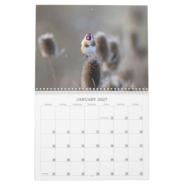 2022 UK Wildlife Calendar (Jan 2027)