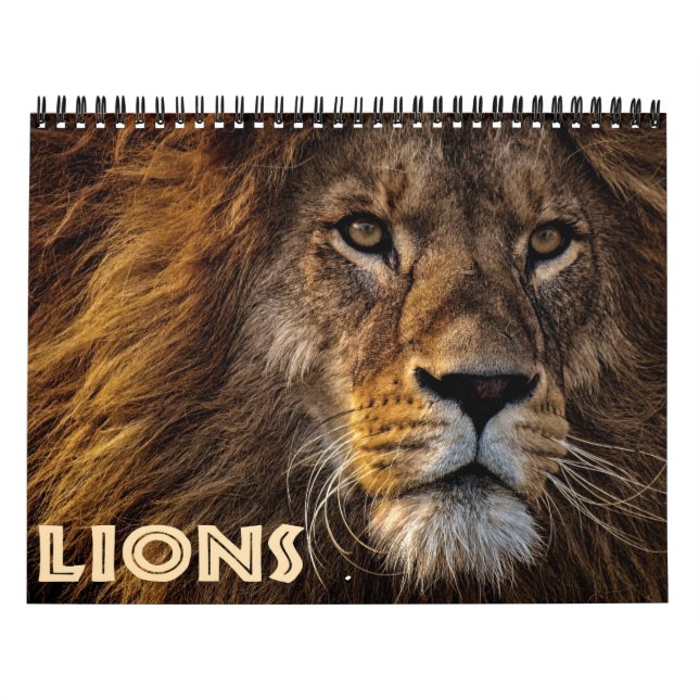 2022 Wild Lions Calendar (Cover)