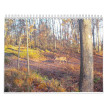 2023 Animals of nature Calendar 