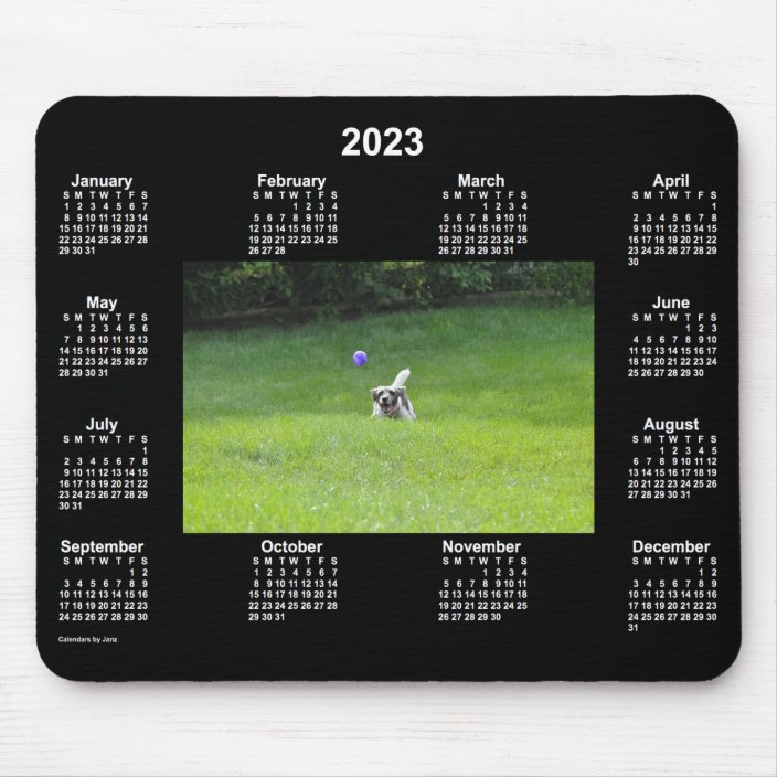 Dog Calendar 2023 2023 Ball Playing Dog Neon Photo Calendar by Janz Mouse Mat Zazzle.co.uk