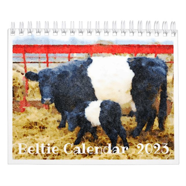 2023 Belted Galloway Beltie Stripe Cow Cattle Calendar (Cover)