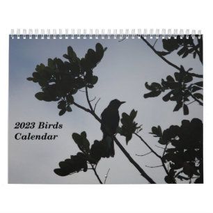 2023 Birds Calendar
