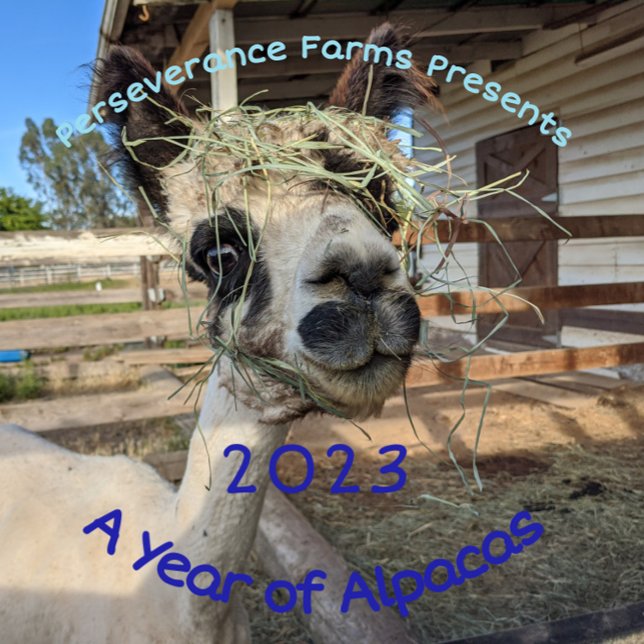 2023 Calendar - A Year of Alpacas (Creator Uploaded)