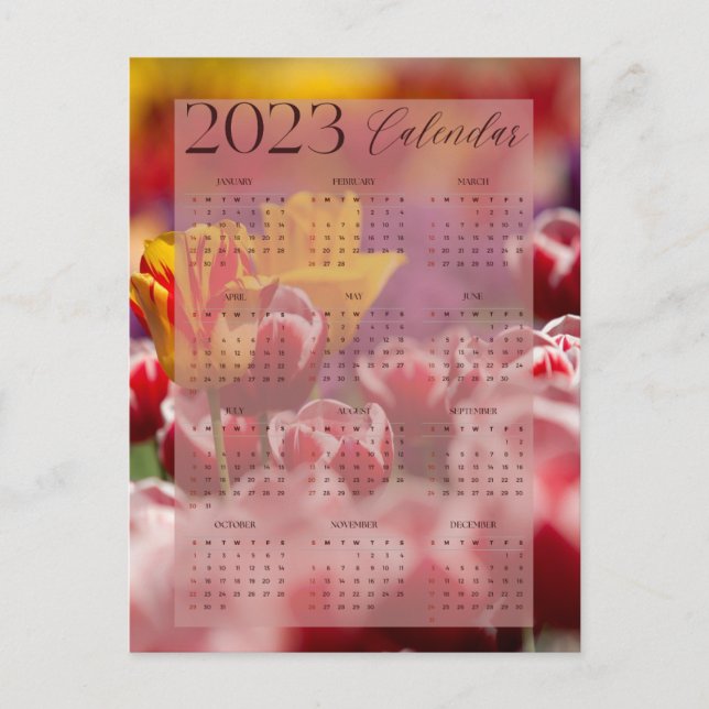 2023 calendar beautiful tulip pattern postcard (Front)
