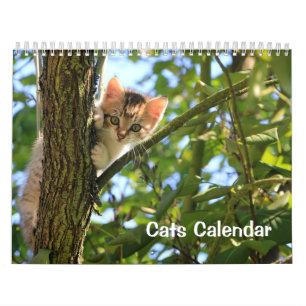 2023 Cat Calendar