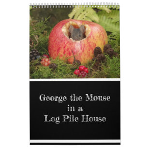 2023 George the mouse in a log pile house new Cal Calendar