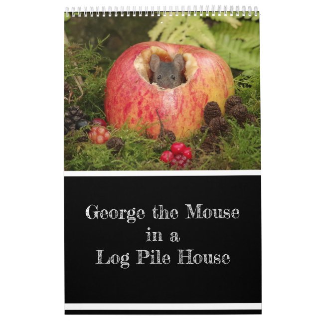 2023 George the mouse in a log pile house new  Cal Calendar (Cover)