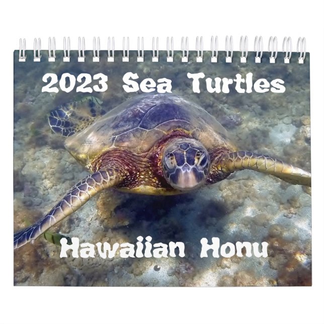 2023 Hawaiian Honu Green Sea Turtles Calendar (Cover)