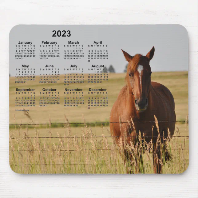 2023 Horse Calendar By Janz Mouse Mat 