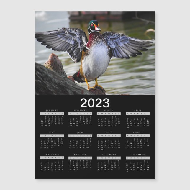 2023 Magnet Calendar Beautiful Wood Duck  (Front)