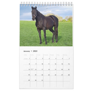 2023 Mares and Foals Calendar 