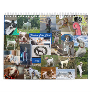 2023 Pointers of the Heart Calendar PointerRescue