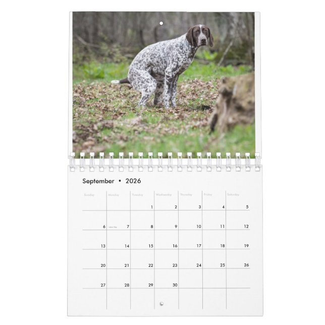 2023 Pooping Dogs Calendar (Sep 2026)