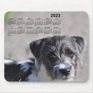 2023 Puppy Calendar by Janz Jack Russell Terrier Mouse Mat
