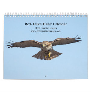 2023 Red-Tailed Hawk in the Hudson Valley Calendar