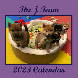 2023 Shiba PuppyCam Wall Calendar