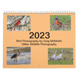 2023 Texas Bird Calendar