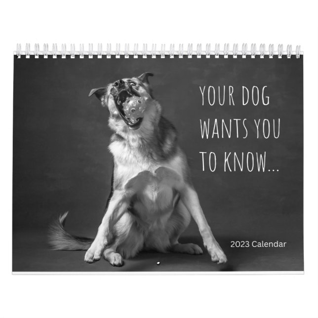 2023 Wall Calendar - Dog Humor (Cover)