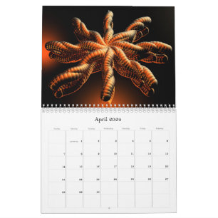 2024 3D Collection Calendar