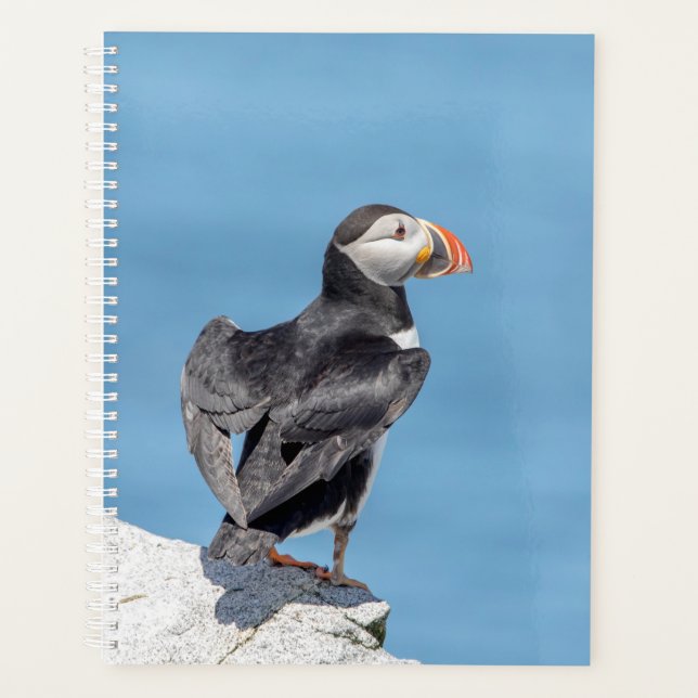 2024 Atlantic Puffin in Maine Planner (Front)