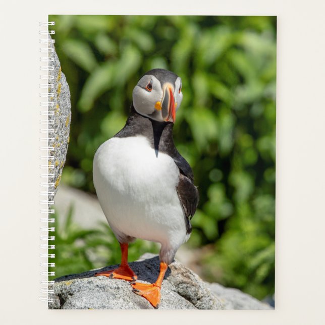 2024 Atlantic Puffin in Maine Planner (Front)