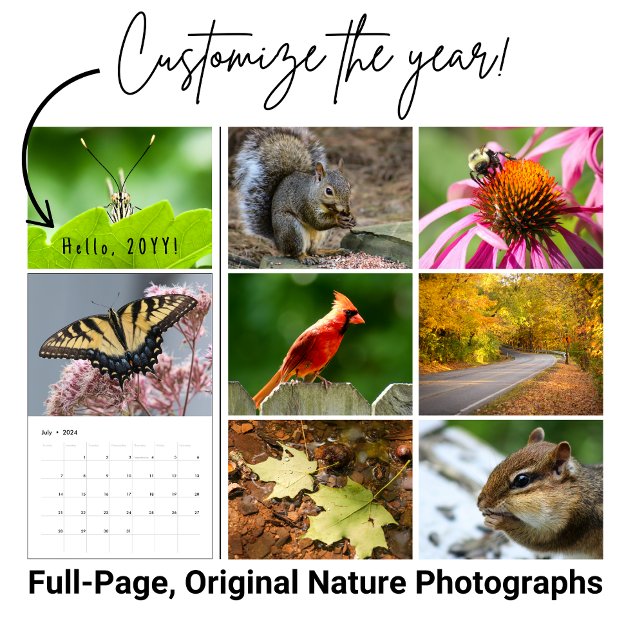 2024 Backyard Wildlife Photography Calendar (Beautiful images of nature fill this wildlife calendar for 2026. )