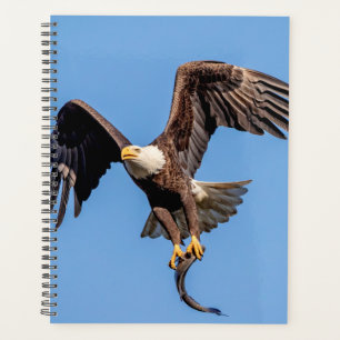 2024 Bald Eagle Planner