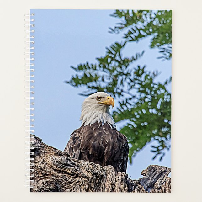 2024 Bald Eagle Planner (Front)