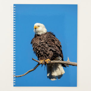 2024 Bald Eagle Planner