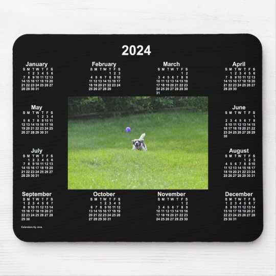 2024 Ball Playing Dog Neon Photo Calendar by Janz Mouse Mat | Zazzle.co.uk